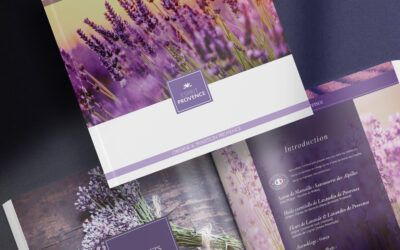 Création catalogue Esprit Provence