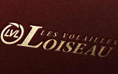 Création logotype – Loiseau